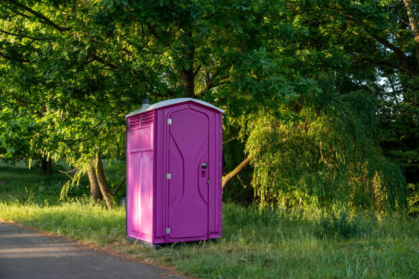Porta potty rental for festivals in Park Ridge, IL